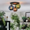 Gastor Plafondlamp, Kogellampje Blauw, Groen, Koperkleurig, 3-lichts