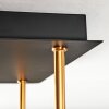 Koyoto Plafondlamp, Kogellampje Goud, Zwart, 5-lichts