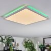 Zuren Plafondlamp, Paneel LED Wit, 1-licht, Kleurwisselaar