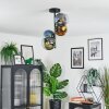 Koyoto Plafondlamp, Kogellampje 31 cm Blauw, Goud, Groen, Duidelijk, 4-lichts