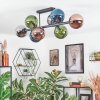 Gastor Plafondlamp, Kogellampje Blauw, Chroom, Groen, Koperkleurig, Rookkleurig, 8-lichts
