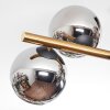 Koyoto Plafondlamp, Kogellampje Goud, Zwart, 8-lichts