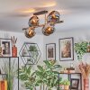 Koyoto Plafondlamp, Kogellampje Goud, Zwart, 8-lichts