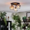 Koyoto Plafondlamp, Kogellampje Amber, Duidelijk, Rookkleurig, 3-lichts