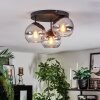 Koyoto Plafondlamp, Kogellampje Chroom, Duidelijk, Rookkleurig, 3-lichts