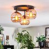Koyoto Plafondlamp, Kogellampje Amber, 3-lichts