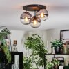 Koyoto Plafondlamp, Kogellampje Duidelijk, Rookkleurig, 3-lichts