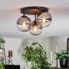 Koyoto Plafondlamp, Kogellampje Duidelijk, Rookkleurig, 3-lichts