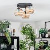 Koyoto Plafondlamp, Kogellampje Amber, 3-lichts