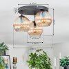 Koyoto Plafondlamp, Kogellampje Amber, 3-lichts