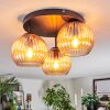 Koyoto Plafondlamp, Kogellampje Amber, 3-lichts