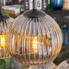 Ripoll Hanglamp, Kogellampje, Hanglamp Amber, Duidelijk, Rookkleurig, 6-lichts