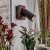 Dalan Wandlamp, Muurspot LED Natuurlijke kleuren, Zwart, 1-licht