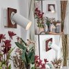 Dalan Wandlamp, Muurspot LED Natuurlijke kleuren, Wit, 1-licht