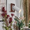 Dalan Wandlamp, Muurspot LED Natuurlijke kleuren, Wit, 1-licht