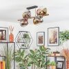Koyoto Plafondlamp, Kogellampje Goud, Zwart, 8-lichts
