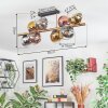 Koyoto Plafondlamp, Kogellampje Goud, Zwart, 8-lichts