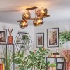 Koyoto Plafondlamp, Kogellampje Goud, Zwart, 8-lichts