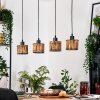Cando Hanglamp, Hanglamp Natuurlijke kleuren, Zwart, 4-lichts