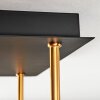 Gastor Plafondlamp, Kogellampje Goud, Zwart, 5-lichts