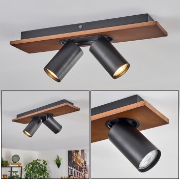 Dalan Plafondlamp, Plafondspot LED Natuurlijke kleuren, Zwart, 2-lichts