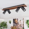 Dalan Plafondlamp, Plafondspot LED Natuurlijke kleuren, Zwart, 4-lichts