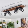 Dalan Plafondlamp, Plafondspot LED Natuurlijke kleuren, Zwart, 4-lichts