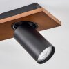 Dalan Plafondlamp, Plafondspot LED Natuurlijke kleuren, Zwart, 4-lichts