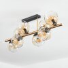 Ripoll Plafondlamp, Kogellampje Goud, Zwart, 8-lichts