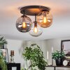 Gastor Plafondlamp, Kogellampje 30 cm Amber, Duidelijk, Rookkleurig, 3-lichts