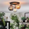 Gastor Plafondlamp, Kogellampje 30 cm Amber, Duidelijk, Rookkleurig, 3-lichts