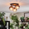 Koyoto Plafondlamp, Kogellampje 30 cm Duidelijk, Rookkleurig, 3-lichts