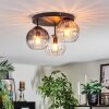 Koyoto Plafondlamp, Kogellampje 30 cm Amber, Duidelijk, Rookkleurig, 3-lichts