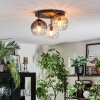 Koyoto Plafondlamp, Kogellampje 30 cm Amber, Duidelijk, Rookkleurig, 3-lichts