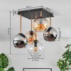 Koyoto Plafondlamp, Kogellampje Goud, Zwart, 5-lichts