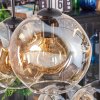 Ripoll Hanglamp, Kogellampje, Hanglamp Amber, Duidelijk, 6-lichts