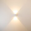 Außenwandleuchte Wandlamp LED Wit, 2-lichts