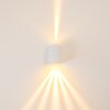 Außenwandleuchte Wandlamp LED Wit, 2-lichts