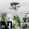 Gastor Plafondlamp, Kogellampje Chroom, Duidelijk, Rookkleurig, 3-lichts