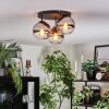 Gastor Plafondlamp, Kogellampje Chroom, Duidelijk, Rookkleurig, 3-lichts