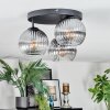 Koyoto Plafondlamp, Kogellampje Duidelijk, Rookkleurig, 3-lichts