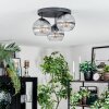 Koyoto Plafondlamp, Kogellampje Duidelijk, Rookkleurig, 3-lichts