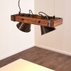 Oksbol Hanglamp Hout donker, Zwart, 2-lichts