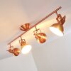 Tina Plafondlamp Koperkleurig, 4-lichts
