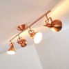 Tina Plafondlamp Koperkleurig, 4-lichts