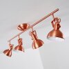 Tina Plafondlamp Koperkleurig, 4-lichts