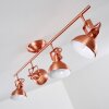 Tina Plafondlamp Koperkleurig, 4-lichts