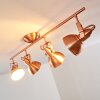 Tina Plafondlamp Koperkleurig, 4-lichts