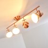 Tina Plafondlamp Koperkleurig, 4-lichts