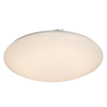 AEG Basic Plafondlamp LED Wit, 1-licht
